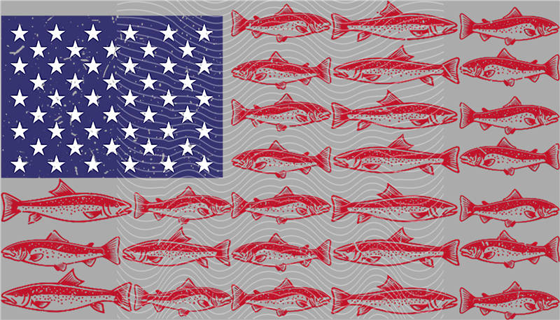 Fishing Series-DY 112